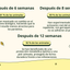 Imagen con texto en español