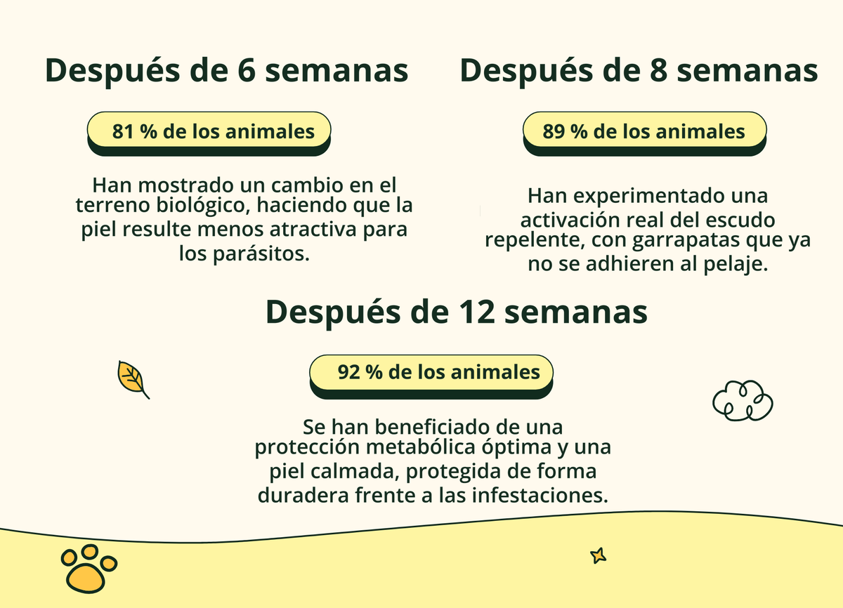 Imagen con texto en español