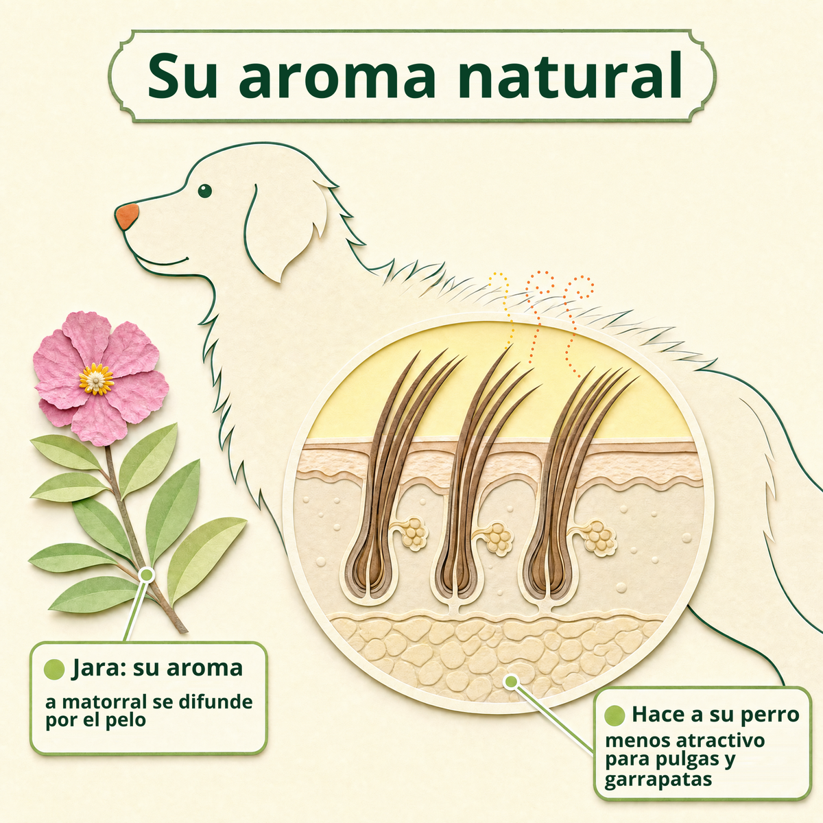 Su aroma natural