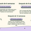 Imagen con texto en español