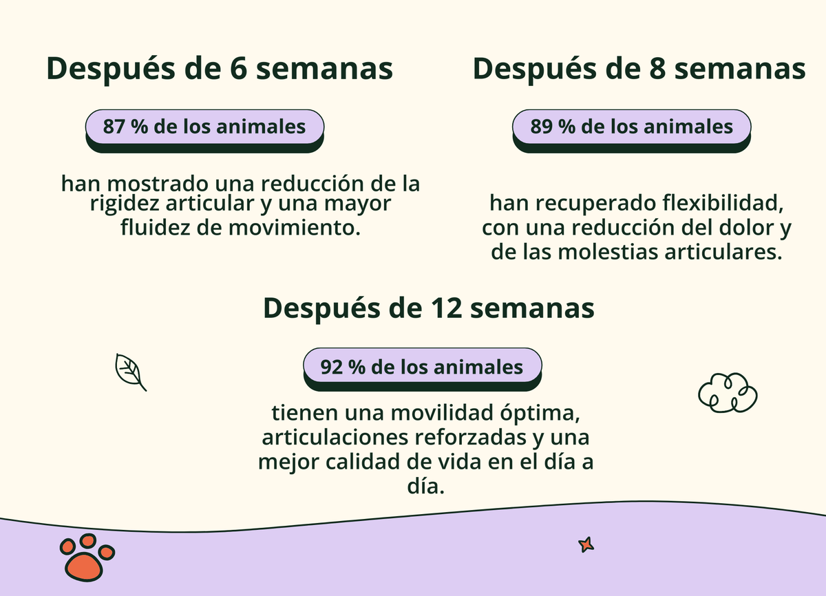 Imagen con texto en español