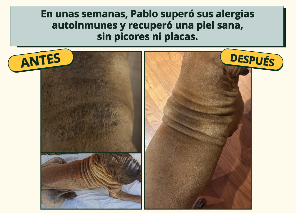 Imagen con texto en español