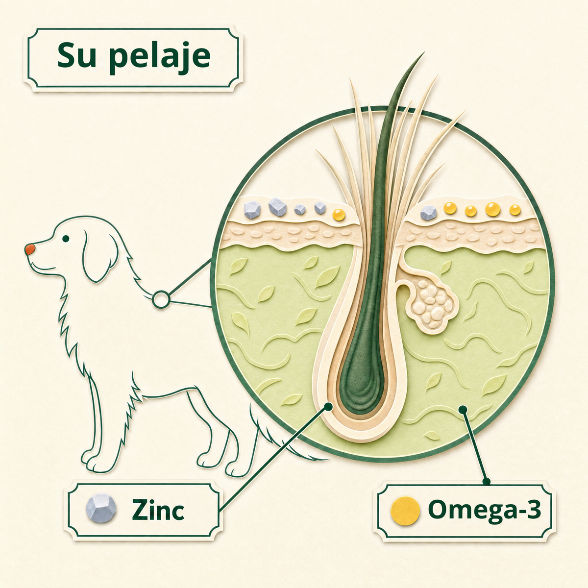 Su pelaje