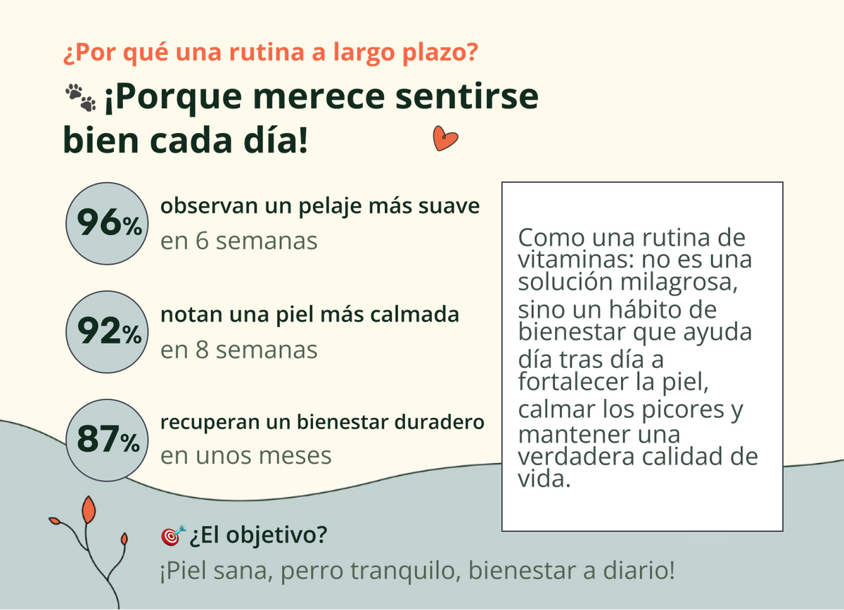 Imagen con texto en español