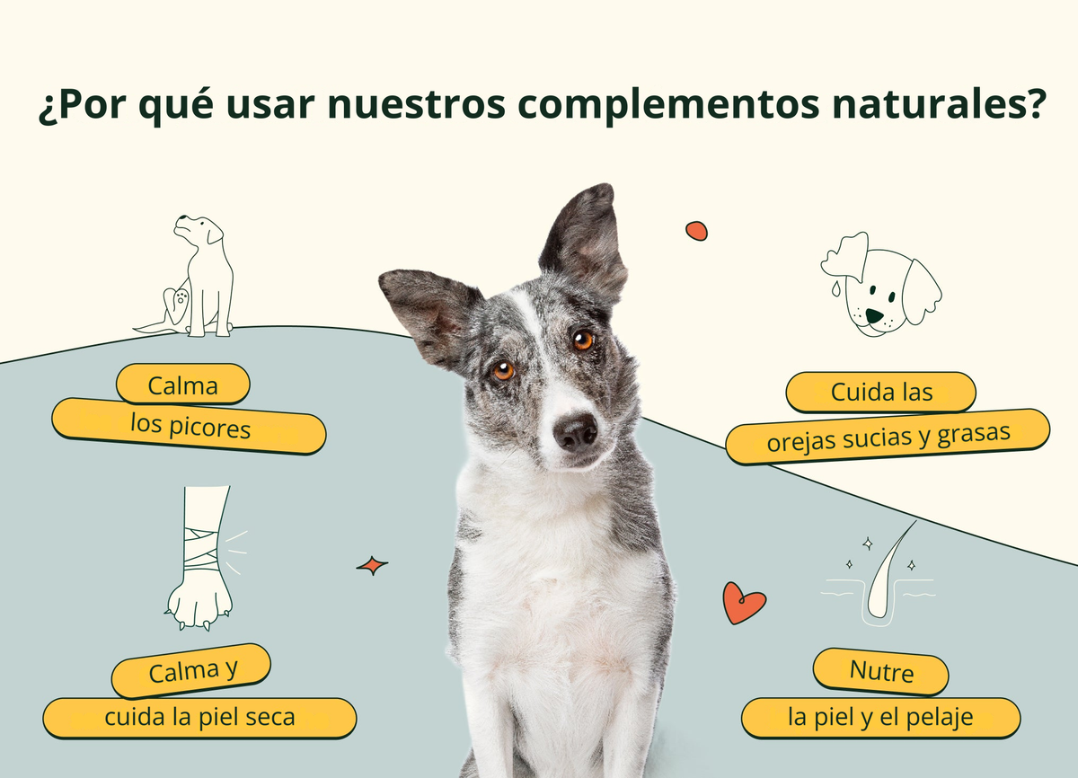 Imagen con texto en español