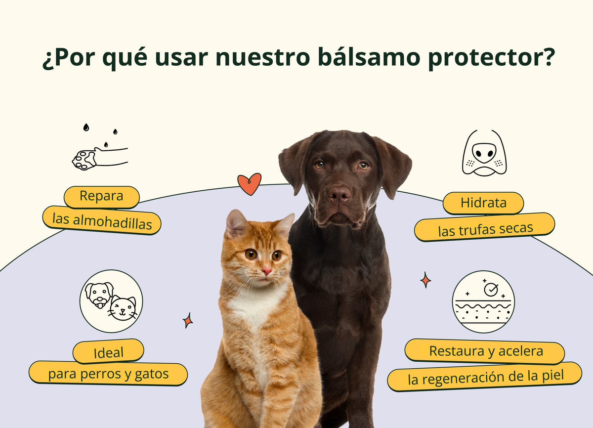 Imagen con texto en español