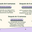 Imagen con texto en español