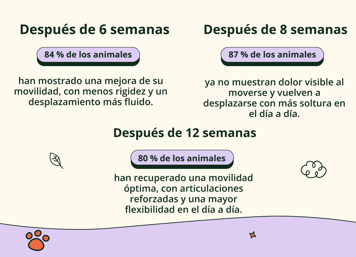 Imagen con texto en español