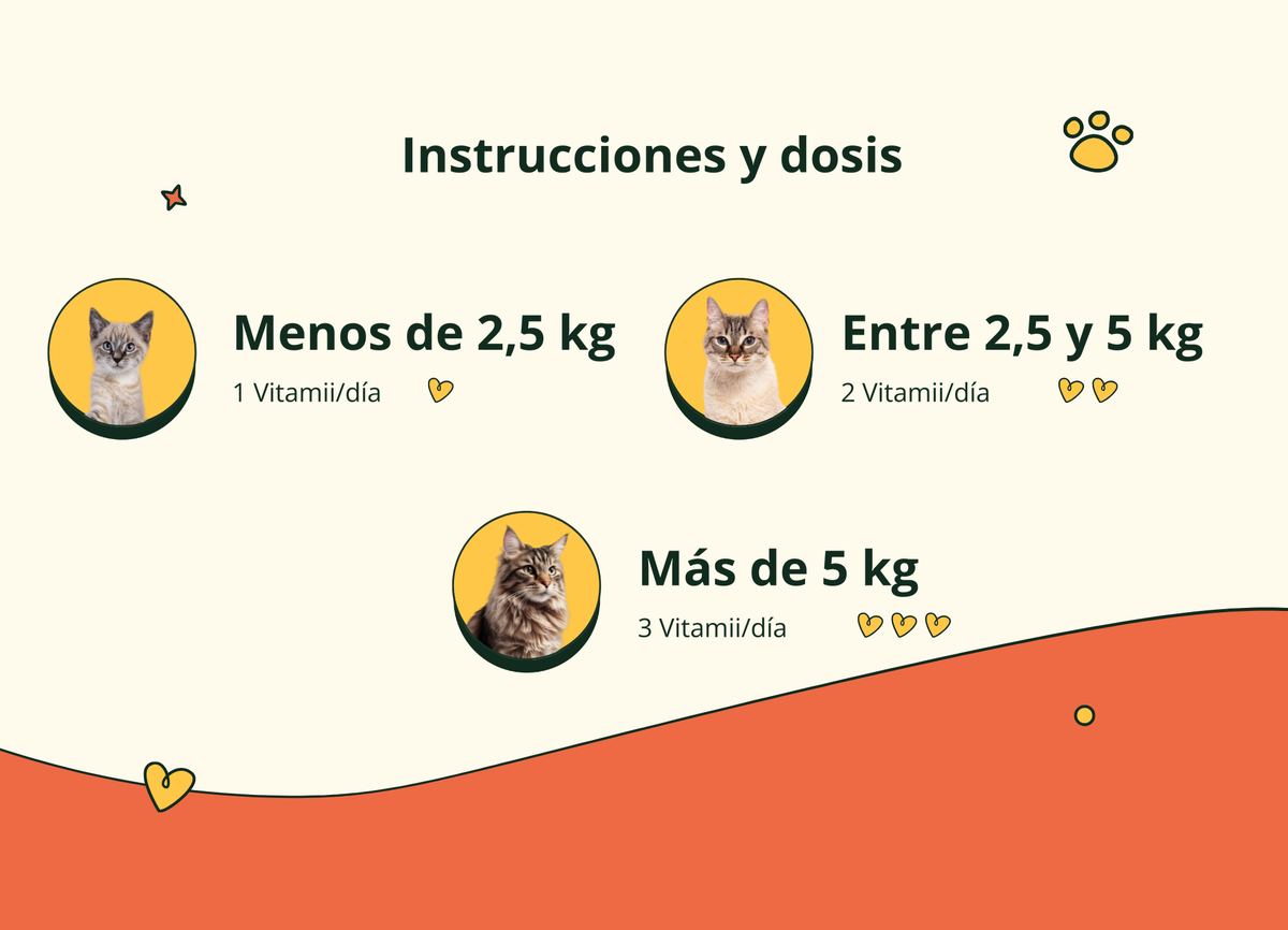 Imagen con texto en español