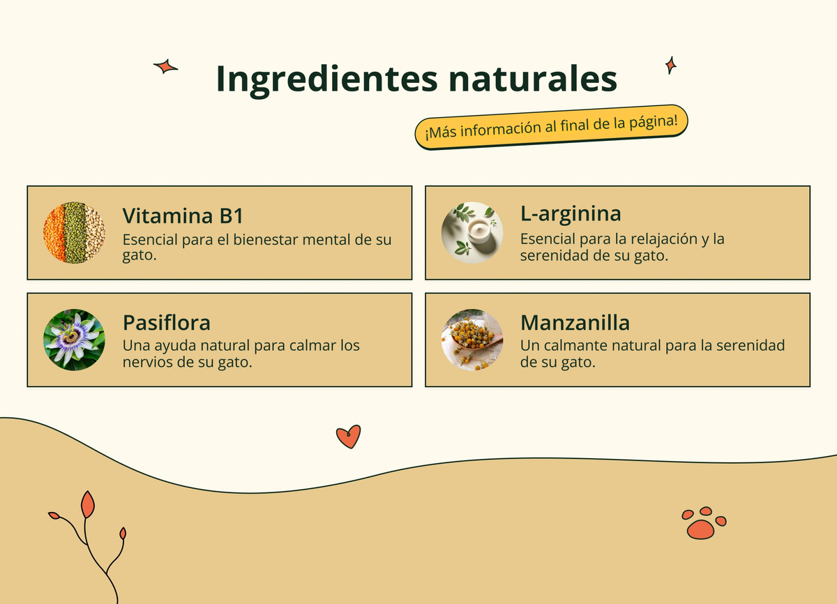 Imagen con texto en español