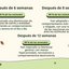 Imagen con texto en español