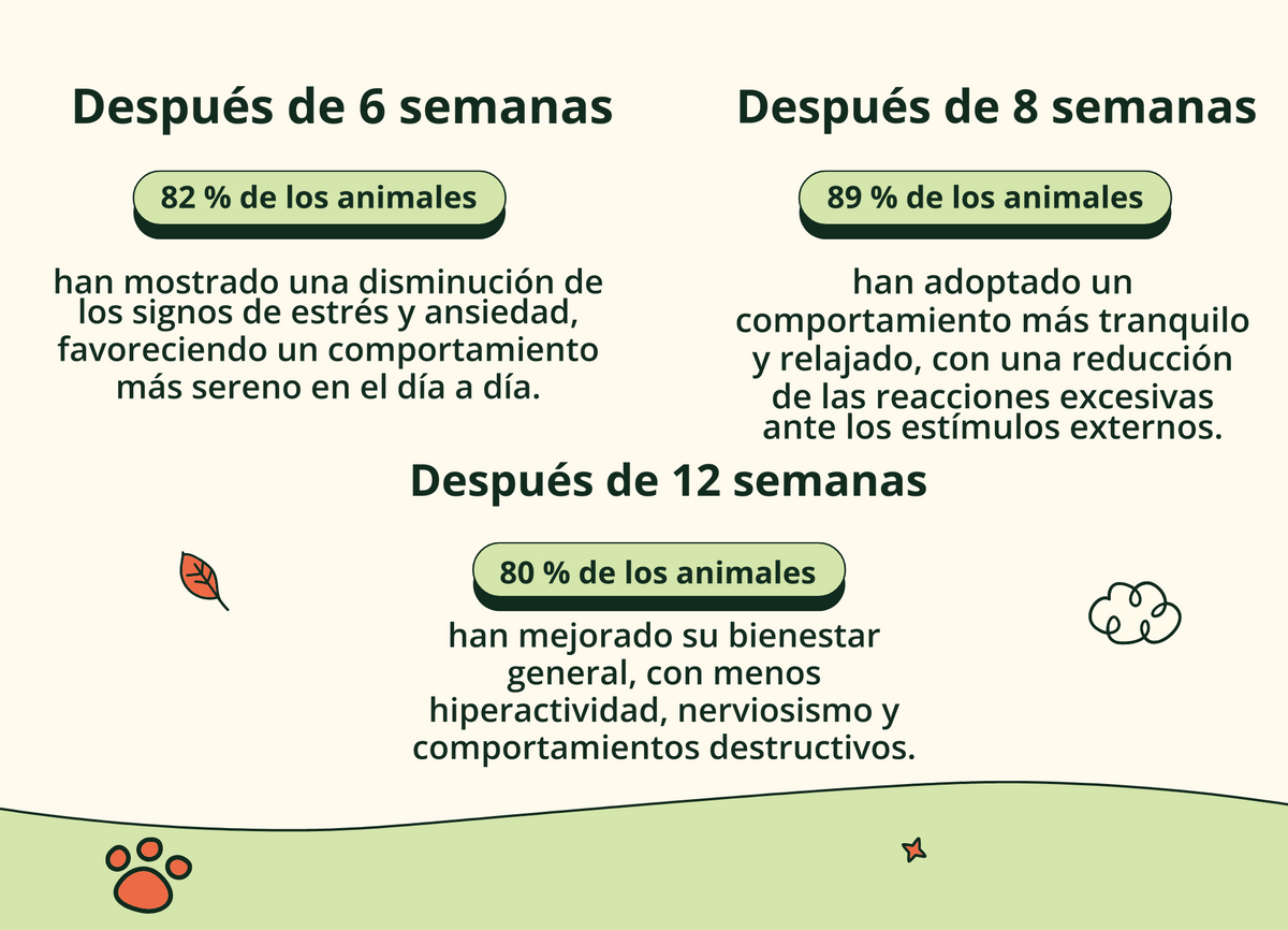 Imagen con texto en español