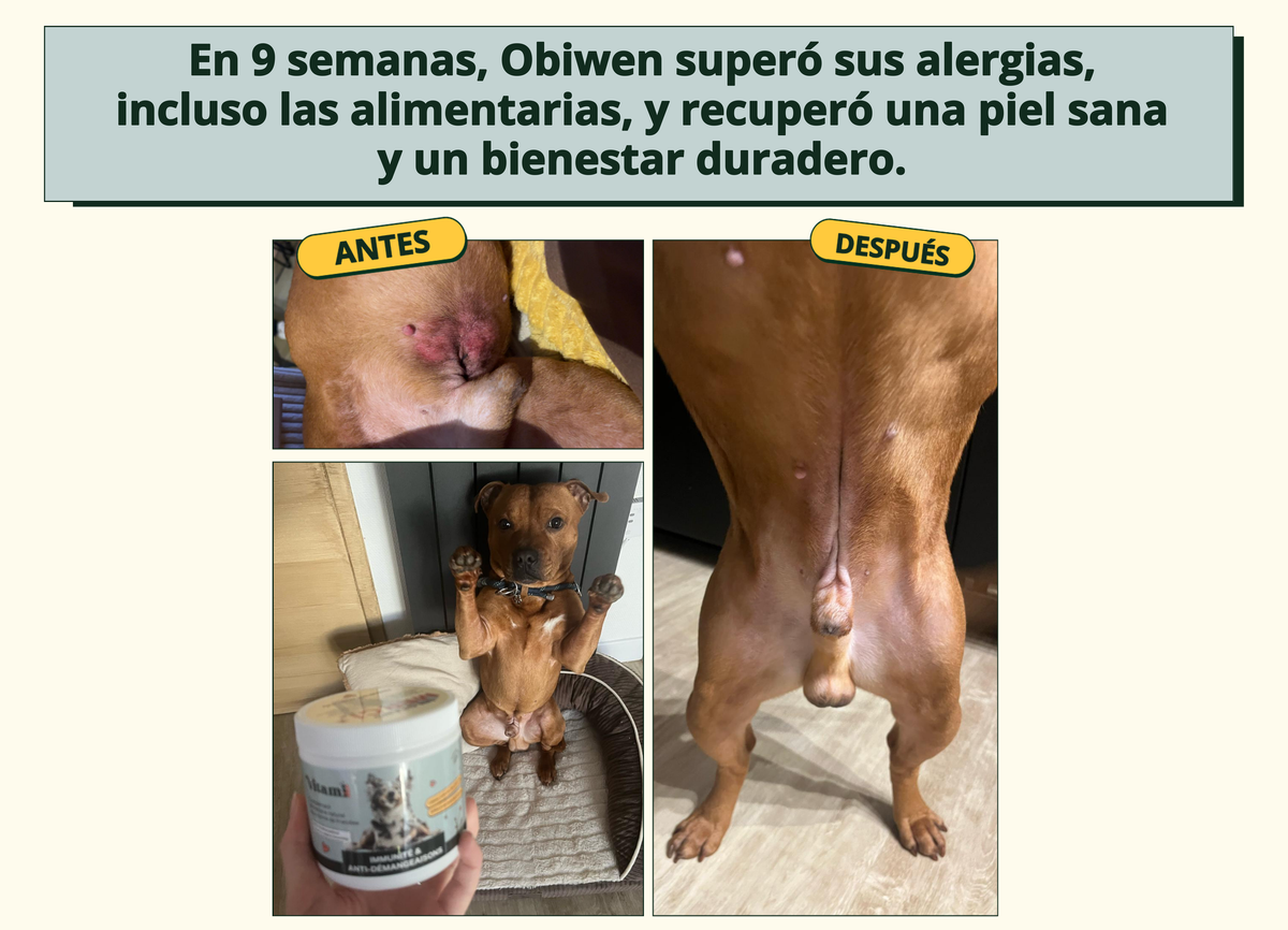Imagen con texto en español