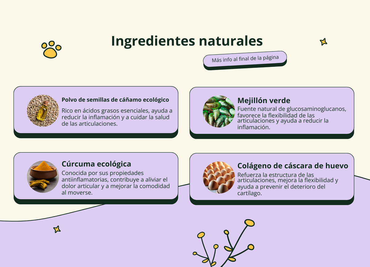 Imagen con texto en español