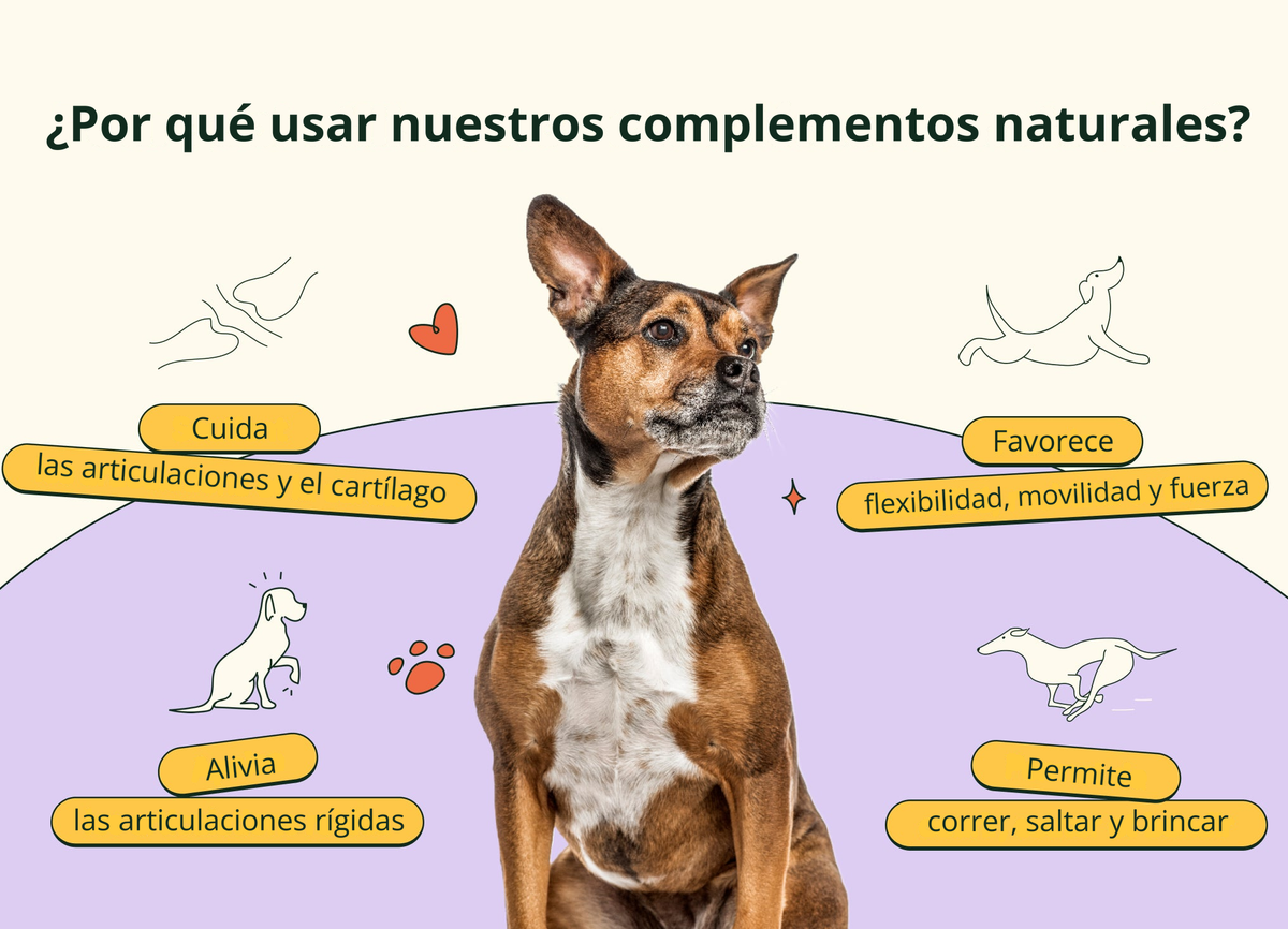 Imagen con texto en español