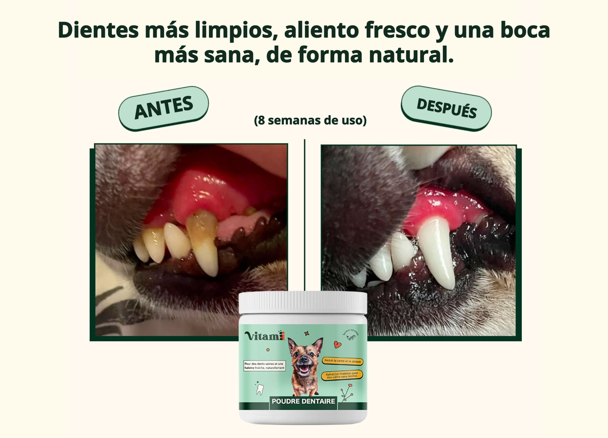 Imagen con texto en español