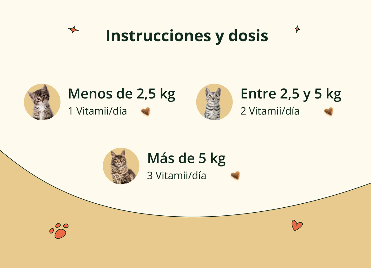 Imagen con texto en español