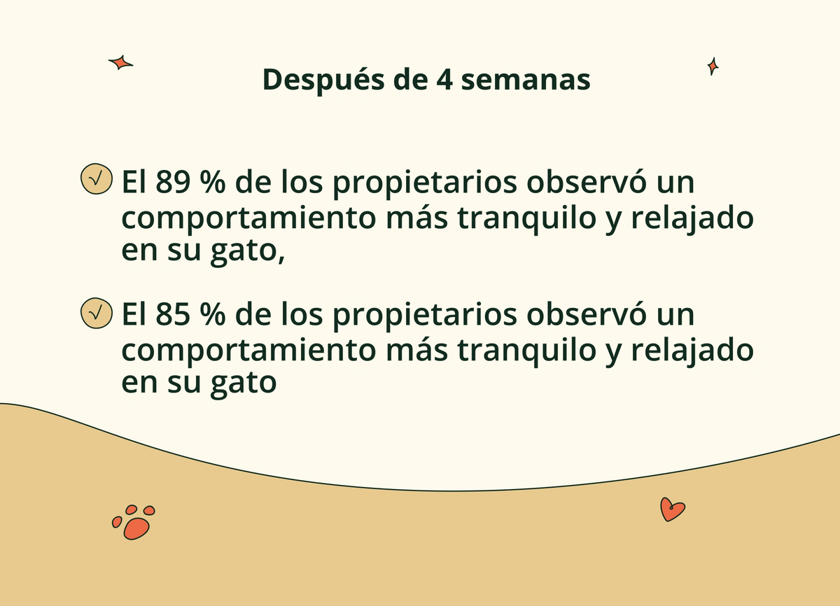 Imagen con texto en español