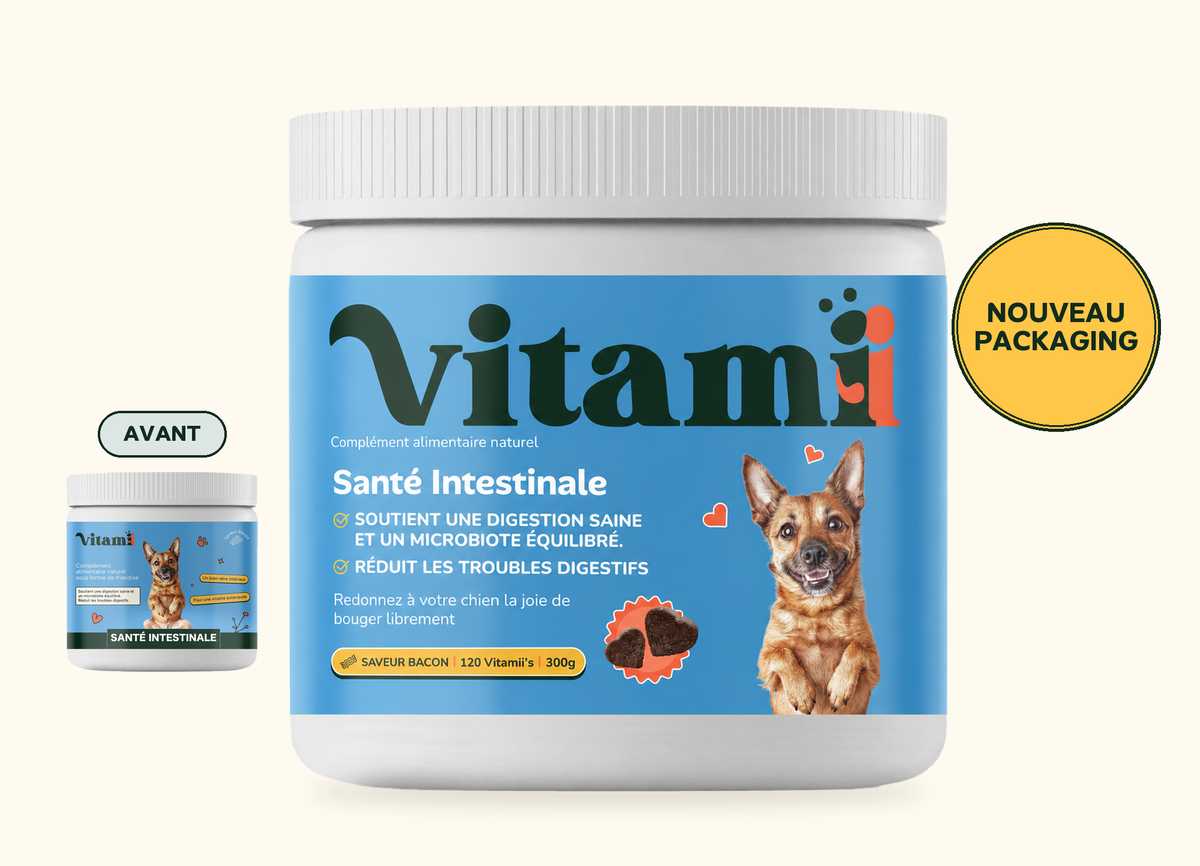 Golosinas Naturales Salud Intestinal