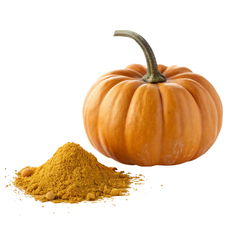 Poudre de citrouille