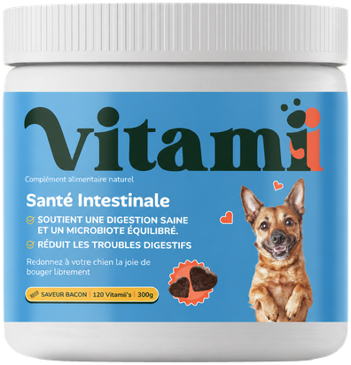 Salud intestinal