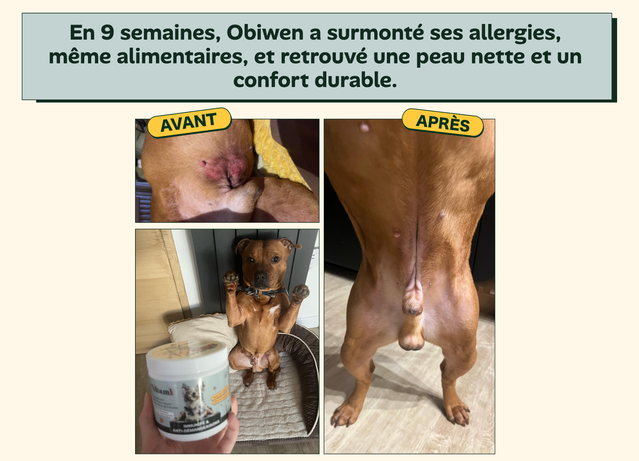 Montaje fotográfico del antes y el después de Obiwen que muestra la evolución de las zonas de piel observadas por Amandine.